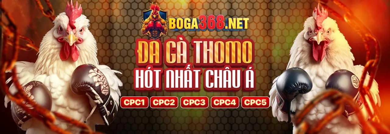 Đá Gà Trực Tuyến LK88 Nhà Cái
