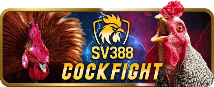 Hỗ trợ khách hàng 24/7 lk88 nhà cái